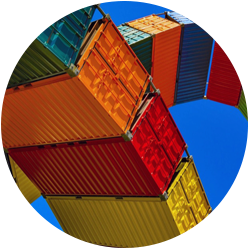 Importer to the EU market